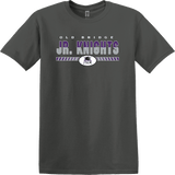 Old Bridge Jr. Knights Softstyle T-Shirt