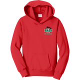 Wash U Youth Fan Favorite Fleece Pullover Hooded Sweatshirt