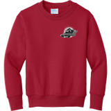 Allegheny Badgers Youth Core Fleece Crewneck Sweatshirt