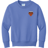 Pennsauken Pilots Youth Core Fleece Crewneck Sweatshirt